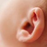 baby's ear
