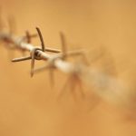 Barbed wire