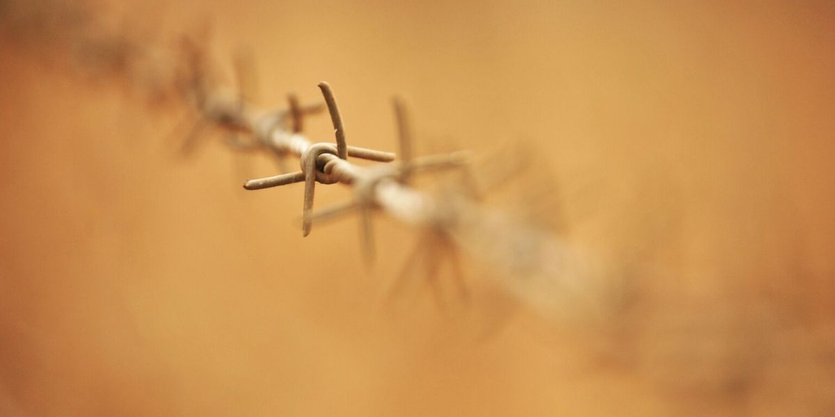 Barbed wire