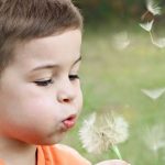 Boy blowing dandelion