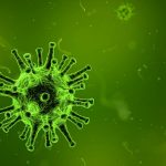 virus