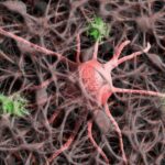 The Difference Between Sensory Processing Disorder and Highly Sensitive