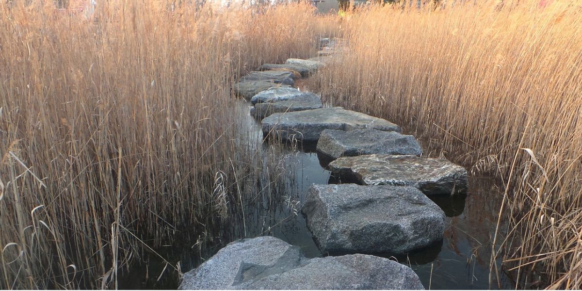 Stepping stones