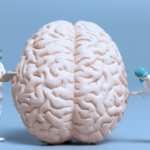 brain